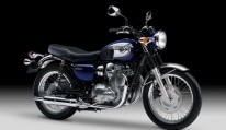 w800-2014-blue